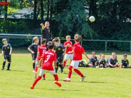 Hillen Cup 2024
